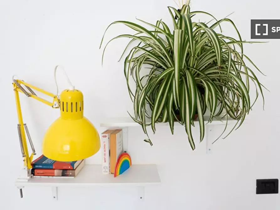 Immagine 6 di Camera condivisa in affitto  in Viale Papiniano a Milano