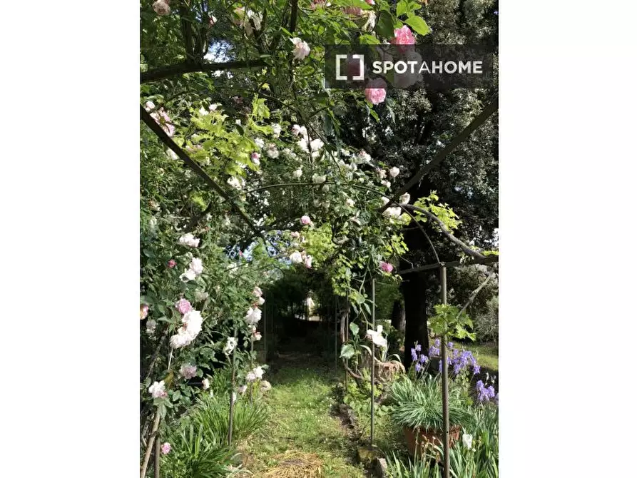 Immagine 19 di Appartamento in affitto  in Via dell'Osservatorio a Firenze