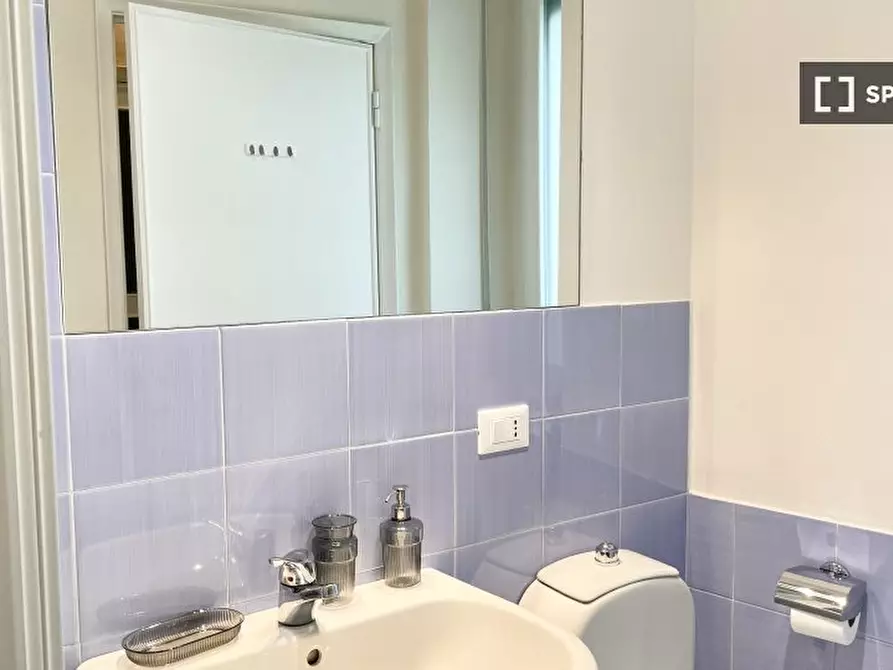 Immagine 19 di Camera condivisa in affitto  in LUNGARNO VESPUCCI a Firenze