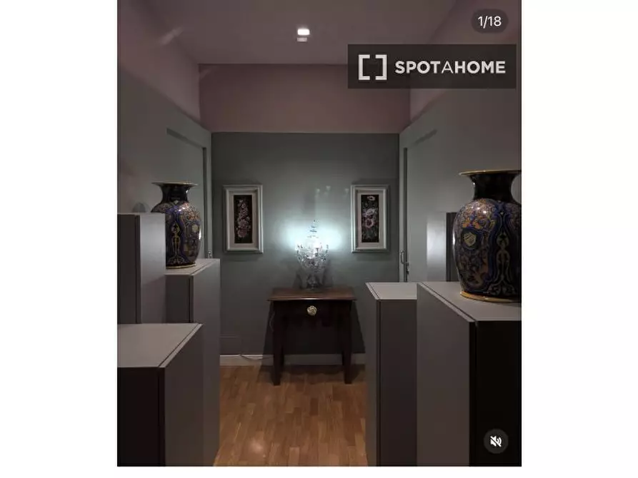 Immagine 1 di Appartamento in affitto  in Via Agostino Bertani a Firenze