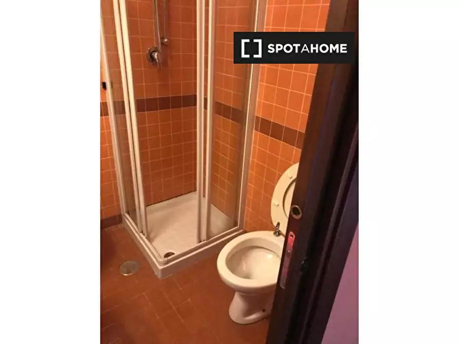 Immagine 7 di Camera condivisa in affitto  in Lungotevere di Pietra Papa a Roma