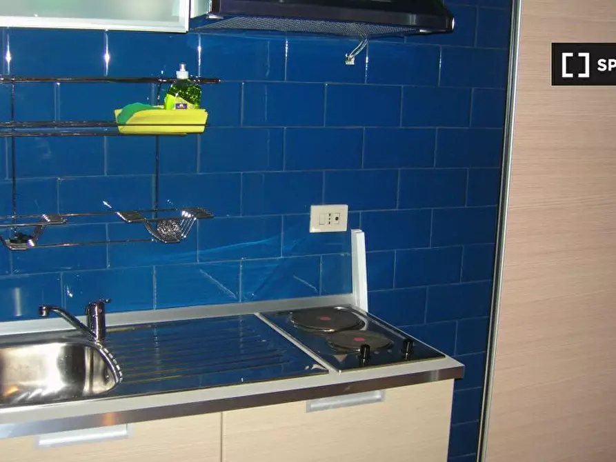 Immagine 11 di Camera condivisa in affitto  in Lungotevere di Pietra Papa a Roma