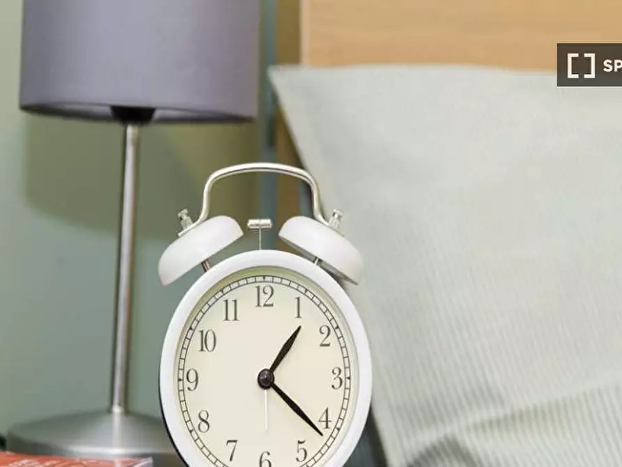 Immagine 7 di Camera condivisa in affitto  in Via Mauro Macchi a Milano