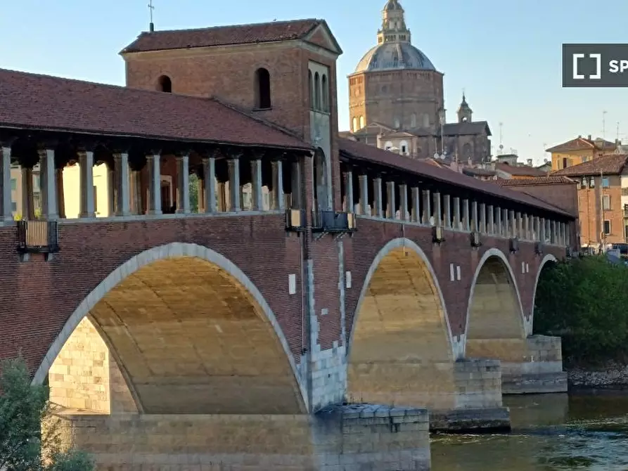 Immagine 6 di Appartamento in affitto  in Via dei Mille a Pavia
