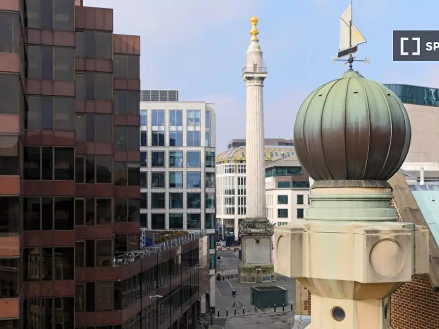 Immagine 4 di Appartamento in affitto  in Monument St a 