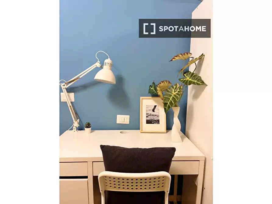 Immagine 4 di Camera condivisa in affitto  in Via Ambrogio Binda a Milano