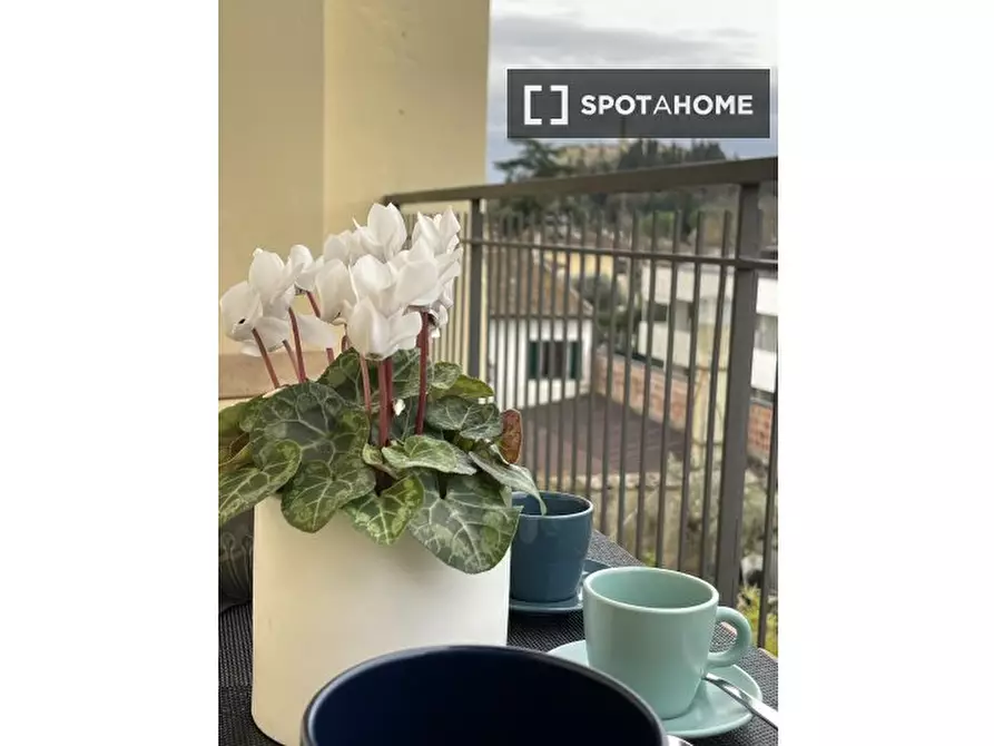 Immagine 5 di Appartamento in affitto  in Via Senese a Firenze