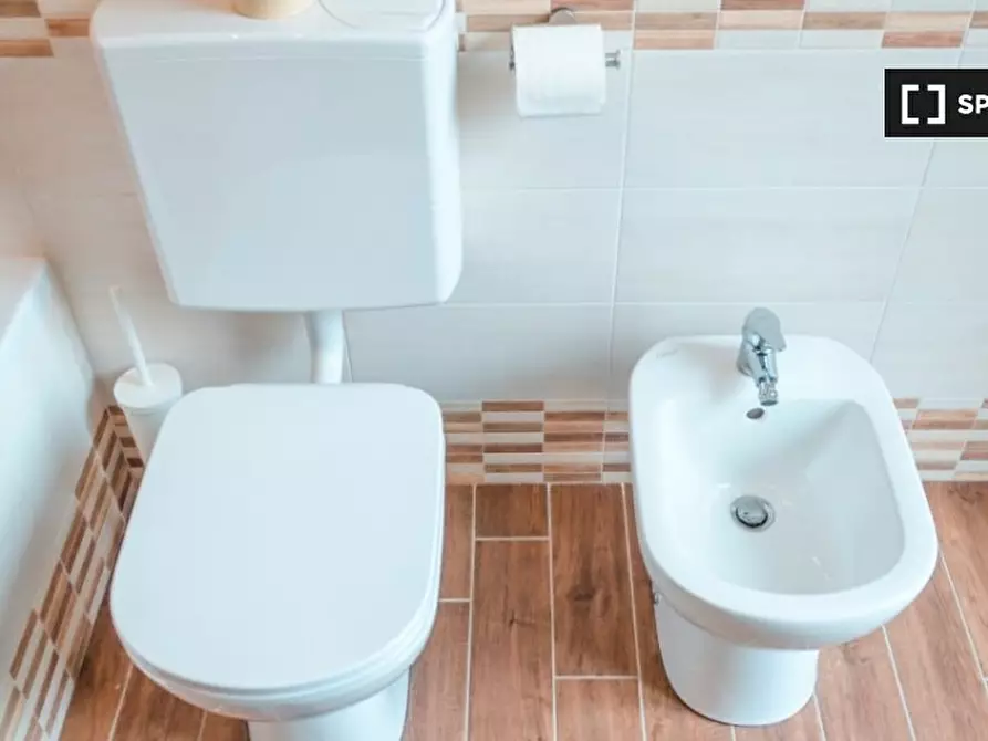 Immagine 17 di Camera condivisa in affitto  in Piazza Emanuele Filiberto a Torino