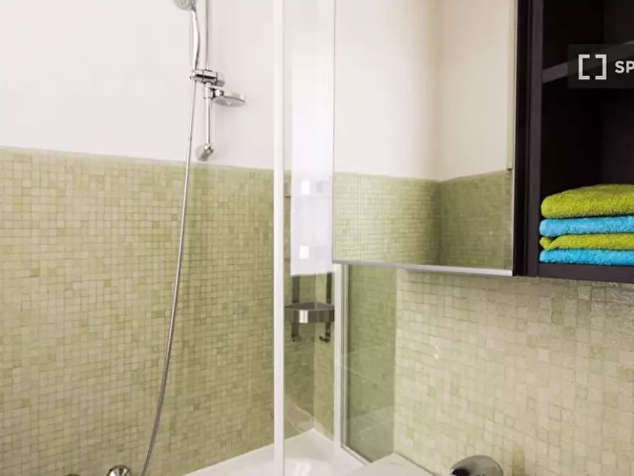 Immagine 15 di Camera condivisa in affitto  in Via Bartolomeo D'Alviano a Milano