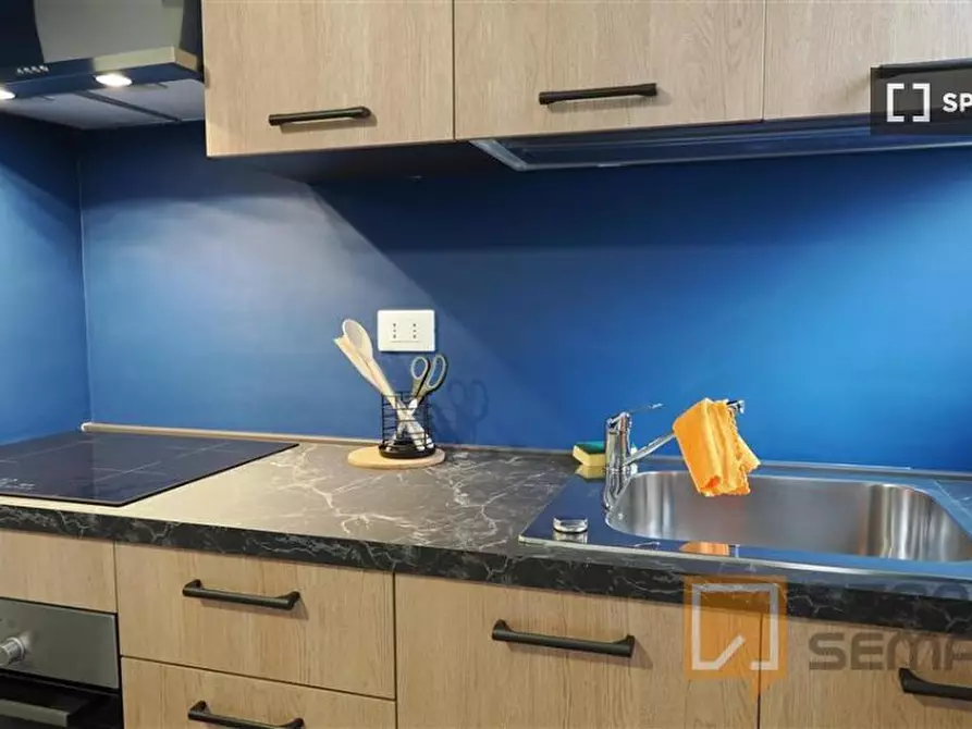 Immagine 11 di Camera condivisa in affitto  in Corso Peschiera a Torino