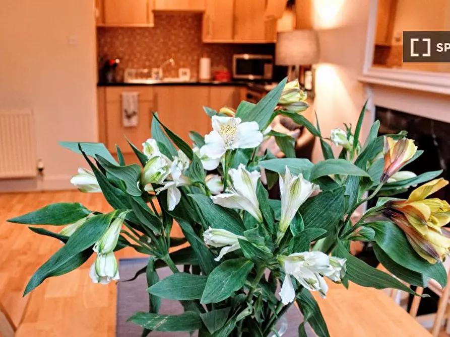 Immagine 9 di Appartamento in affitto  in Broughton Rd a Bonnington, Lochend and Craigentinny