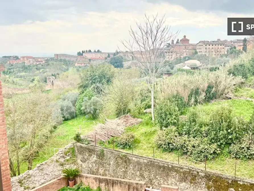Immagine 15 di Ufficio in affitto  in Via del Fosso a Siena