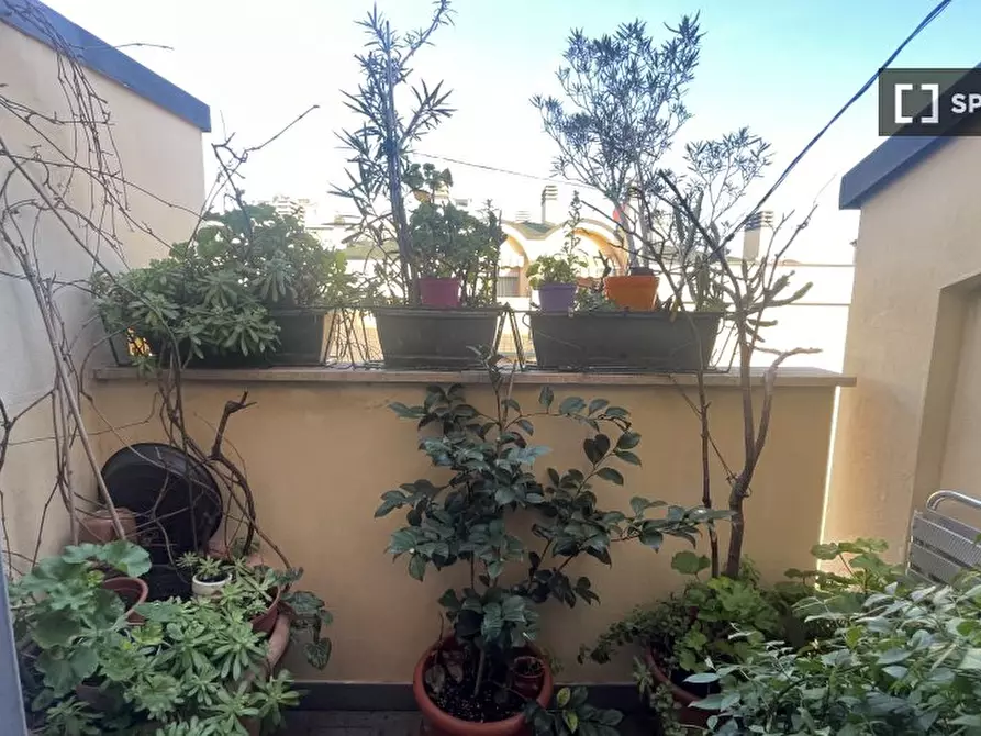 Immagine 3 di Appartamento in affitto  in Via Ulisse Salis a Milano