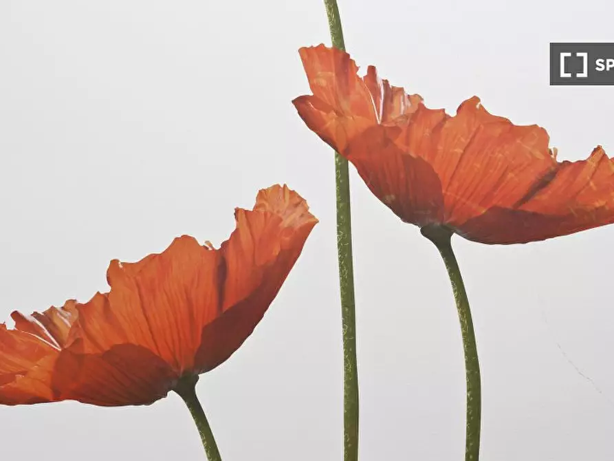 Immagine 6 di Appartamento in affitto  in Via Alzaia Naviglio Pavese a Milano