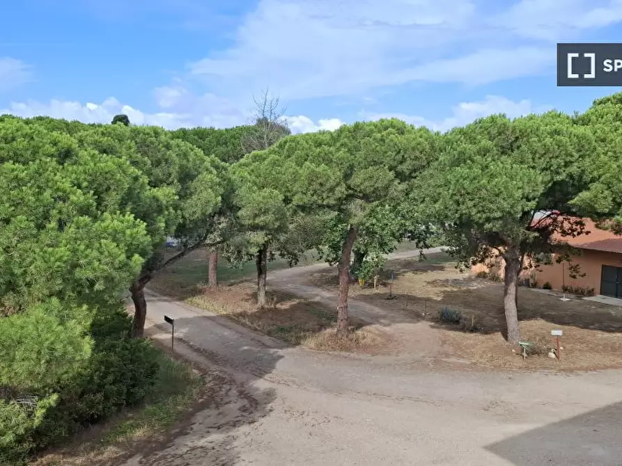 Immagine 8 di Appartamento in affitto  in Via Terralba a Fiumicino