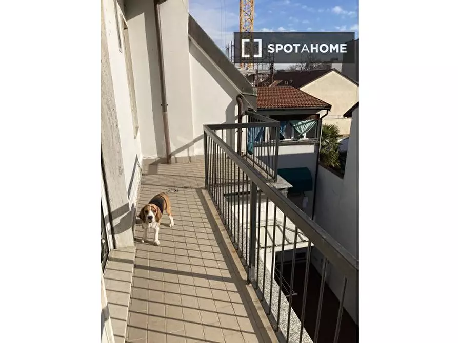 Immagine 19 di Appartamento in affitto  in Viale Carlo Espinasse a Milano