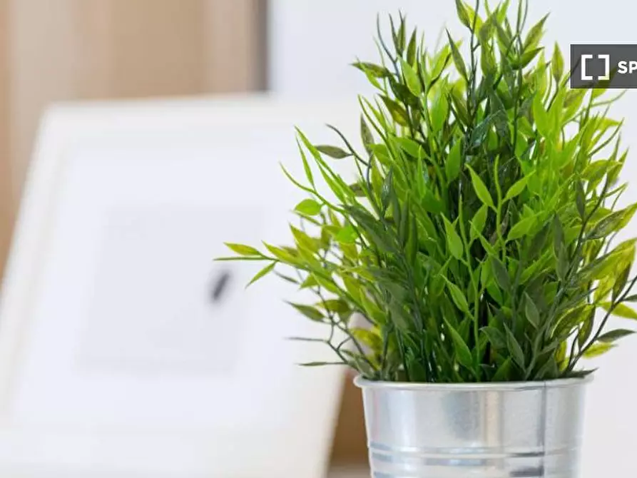 Immagine 2 di Camera condivisa in affitto  in Via delle Acacie Milan a Buccinasco