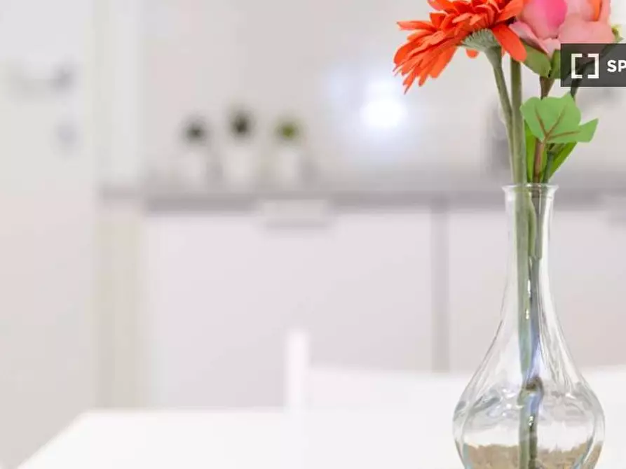 Immagine 11 di Camera condivisa in affitto  in Via Salvatore Barzilai Milan a Milano