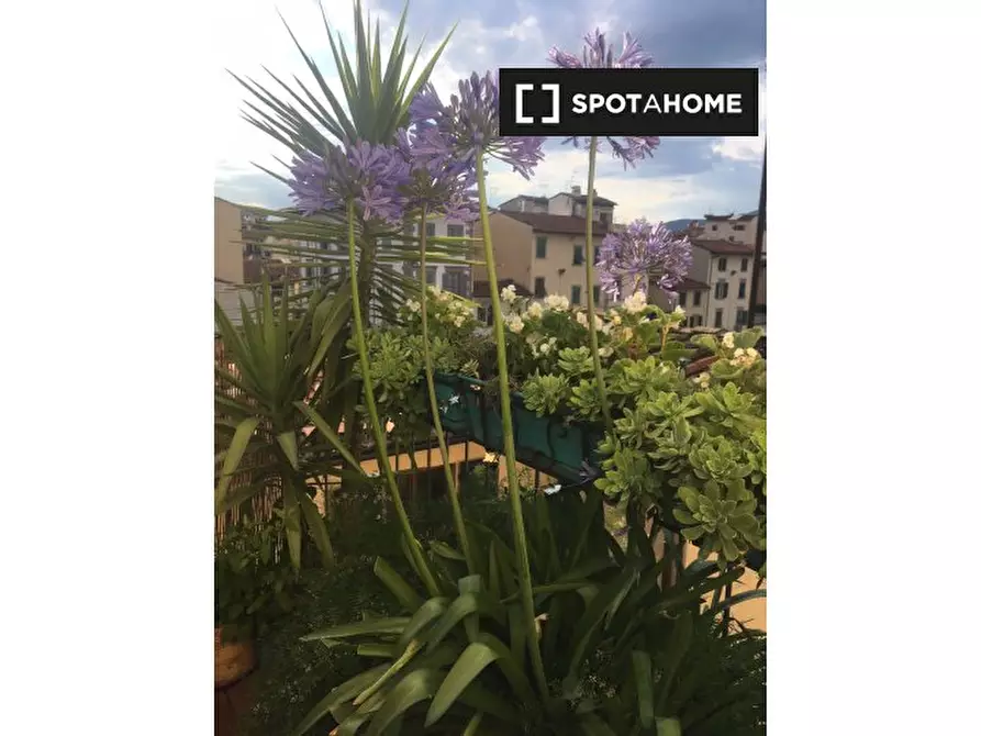 Immagine 15 di Appartamento in affitto  in Via dell'Agnolo a Firenze