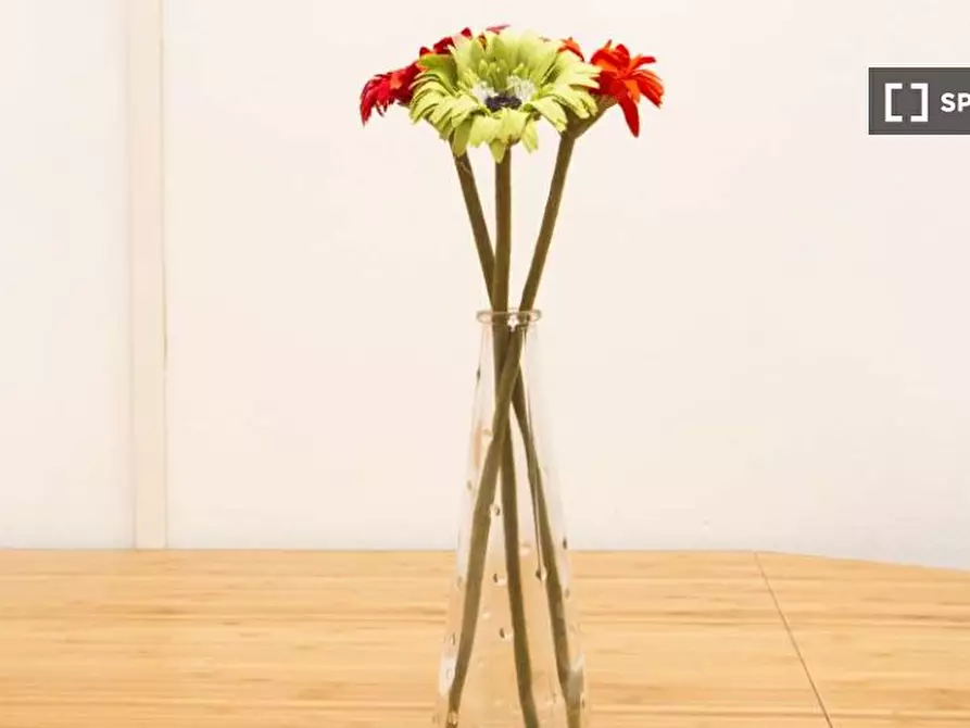 Immagine 17 di Camera condivisa in affitto  in Via Vincenzo Foppa a Milano