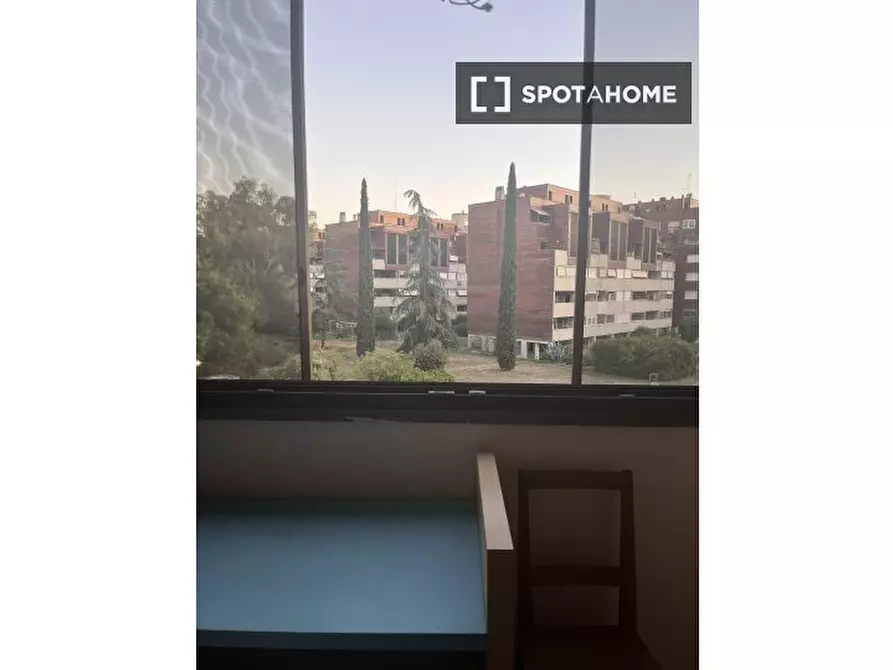 Immagine 4 di Camera condivisa in affitto  in Viale Londra a Roma