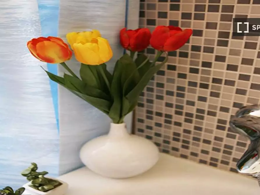 Immagine 17 di Camera condivisa in affitto  in Via Eustachi a Milano