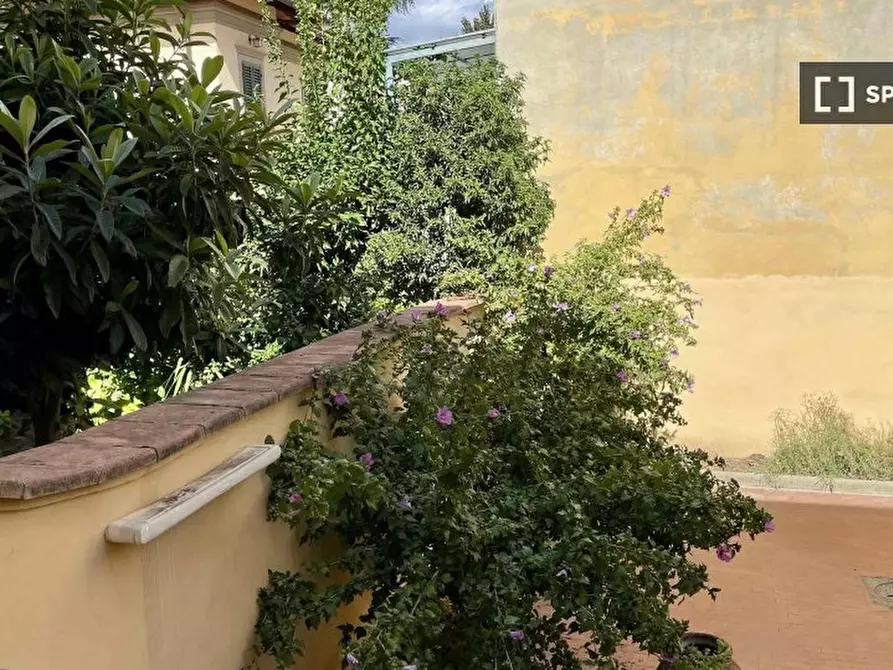 Immagine 14 di Camera condivisa in affitto  in via Giuseppe Galliano a Firenze