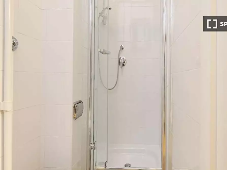 Immagine 15 di Camera condivisa in affitto  in Via dei Giornalisti a Roma