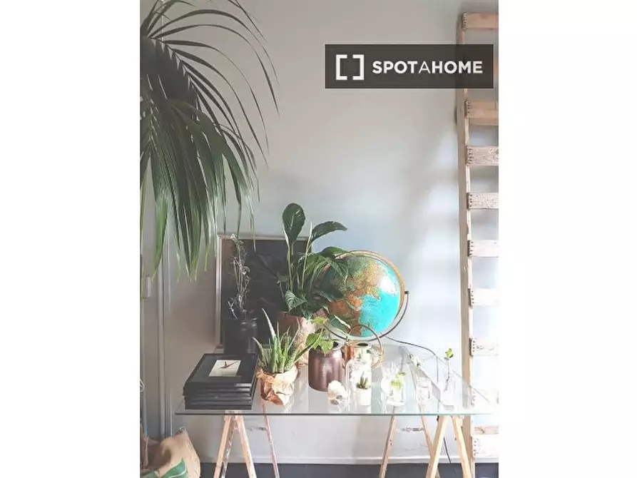 Immagine 10 di Ufficio in affitto  in Via Santo Spirito a Firenze