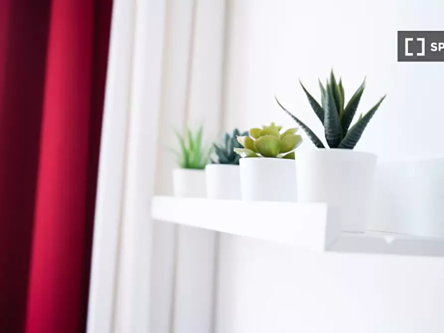 Immagine 5 di Camera condivisa in affitto  in Viale Papiniano a Milano