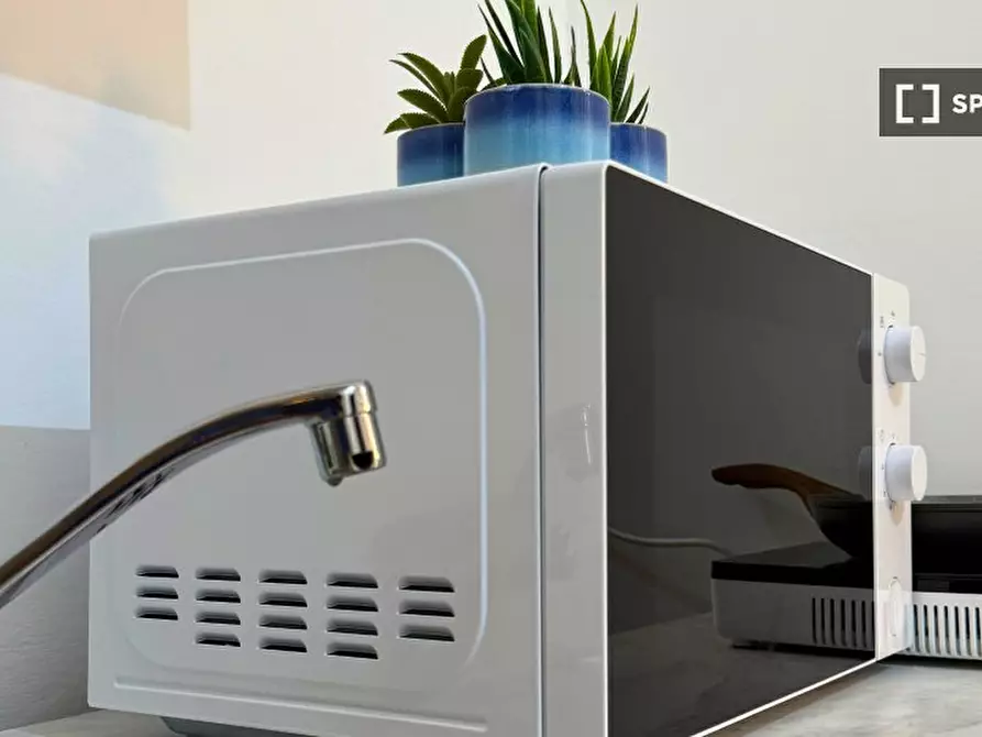 Immagine 10 di Camera condivisa in affitto  in Via Carlo Castelnuovo Delle Lanze a Torino