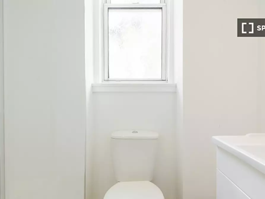 Immagine 12 di Appartamento in affitto  in W Crosscauseway a South Bridge, Holyrood and Willowbrae