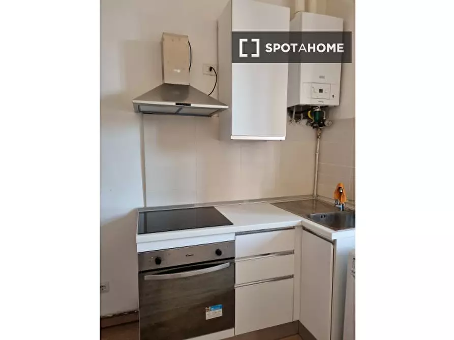 Immagine 5 di Appartamento in affitto  in Viale Carlo Espinasse a Milano