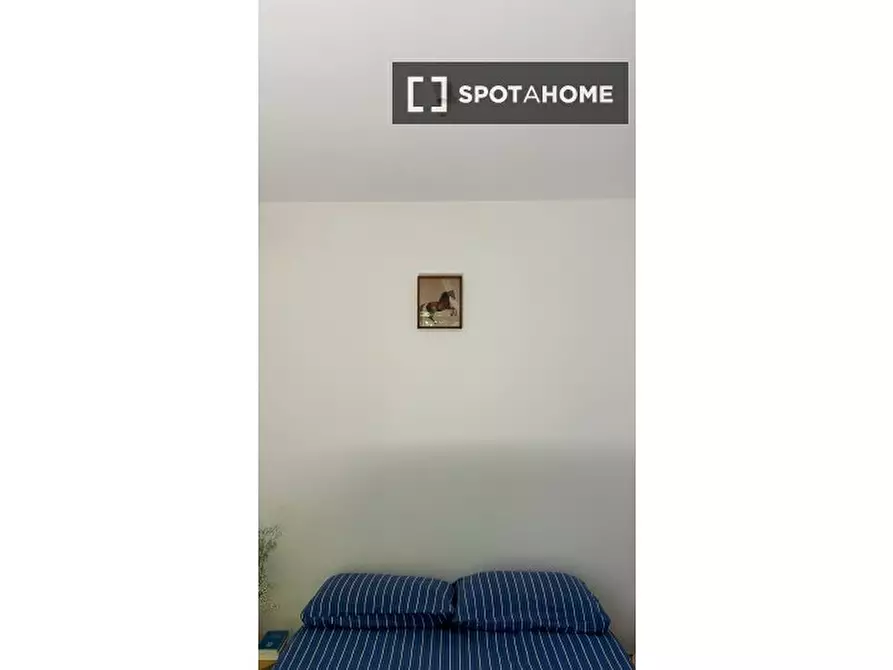 Immagine 12 di Appartamento in affitto  in Via Ettore Rolli a Roma