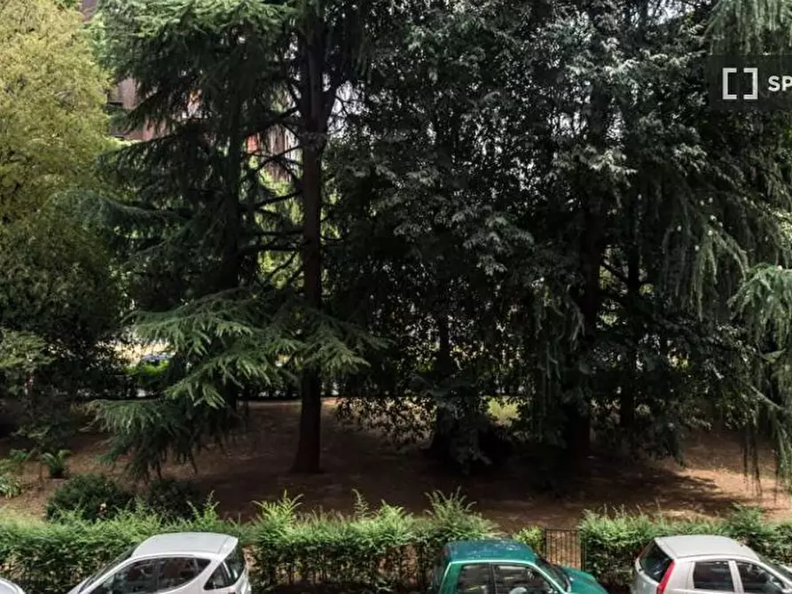 Immagine 12 di Camera condivisa in affitto  in Via Bartolomeo D'Alviano a Milano