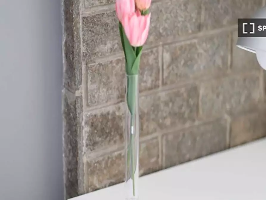 Immagine 6 di Camera condivisa in affitto  in Via Marcona a Milano