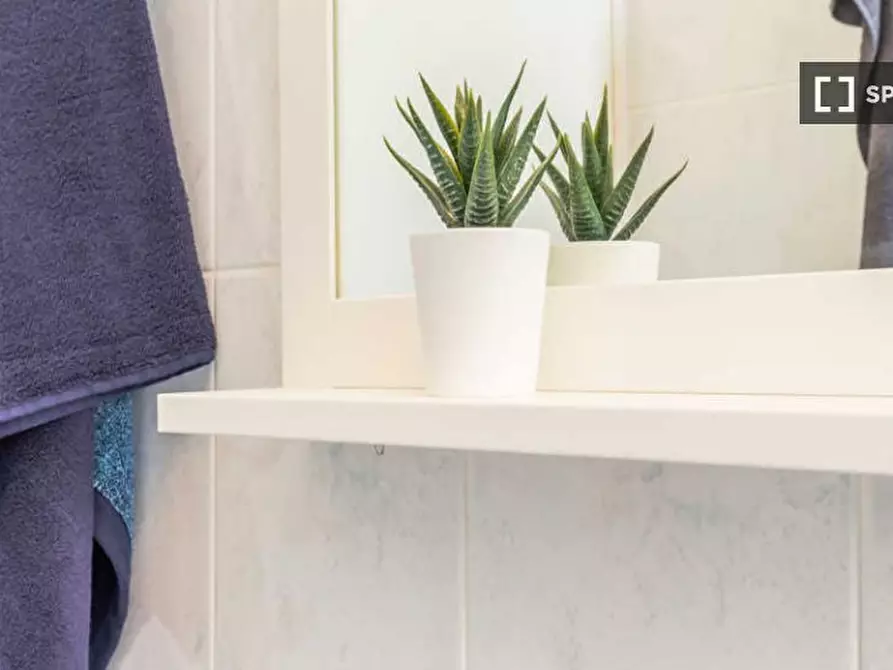 Immagine 19 di Camera condivisa in affitto  in VIA MONTEPULCIANO a Milano