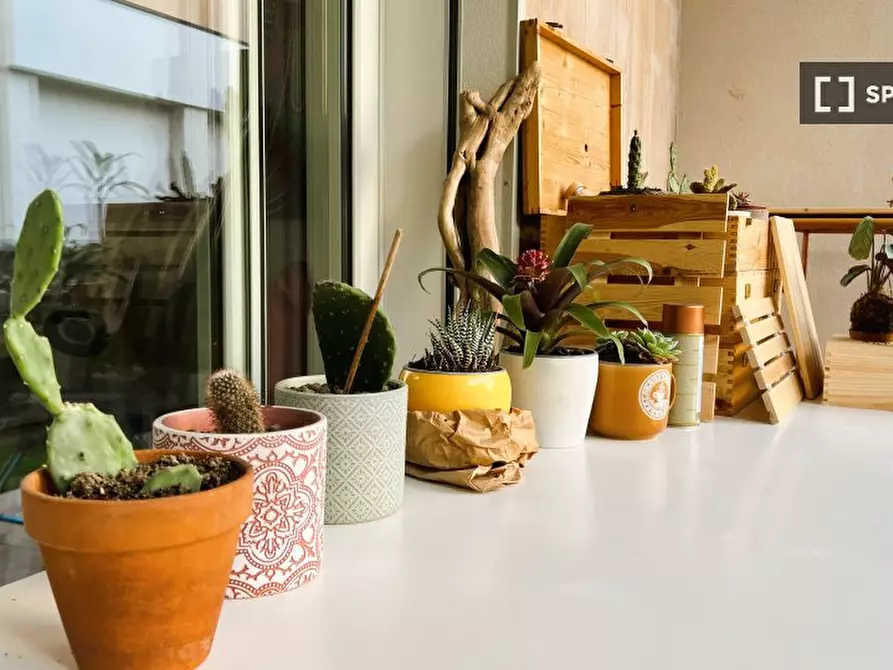 Immagine 8 di Appartamento in affitto  in Piazza Dergano a Milano