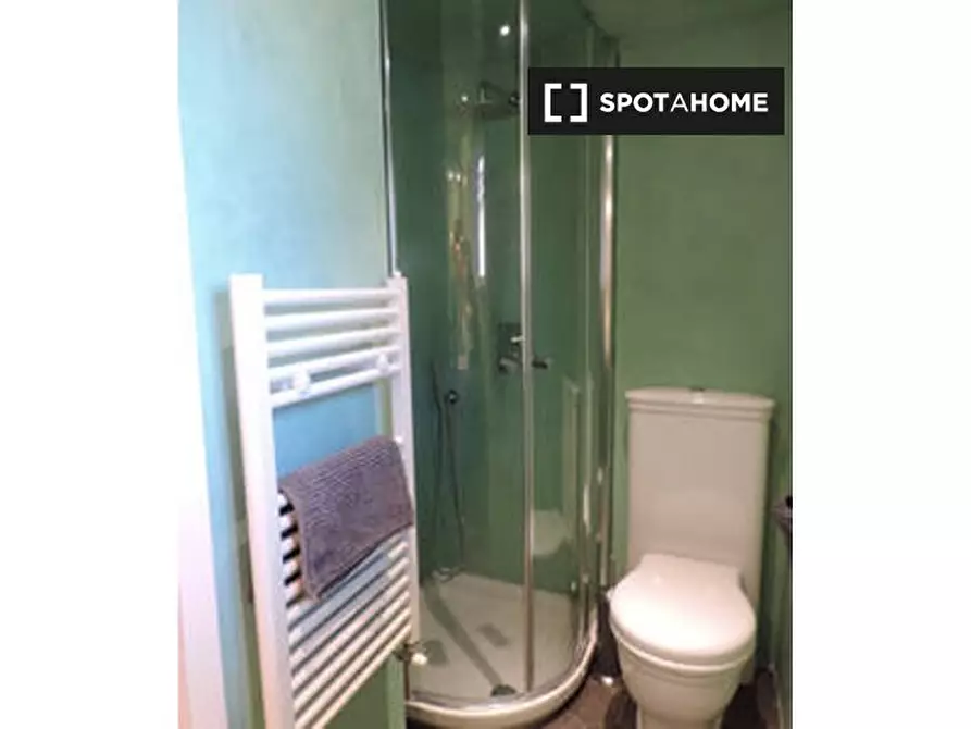 Immagine 5 di Appartamento in affitto  in Borgo S. Frediano a Firenze