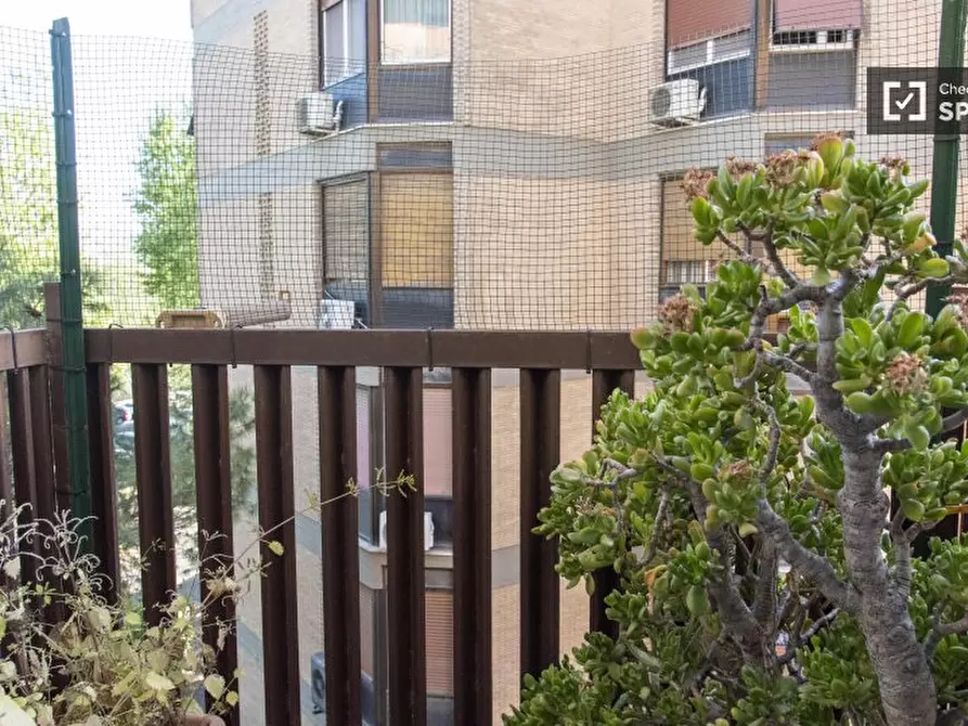 Immagine 5 di Camera condivisa in affitto  in Lungotevere di Pietra Papa a Roma