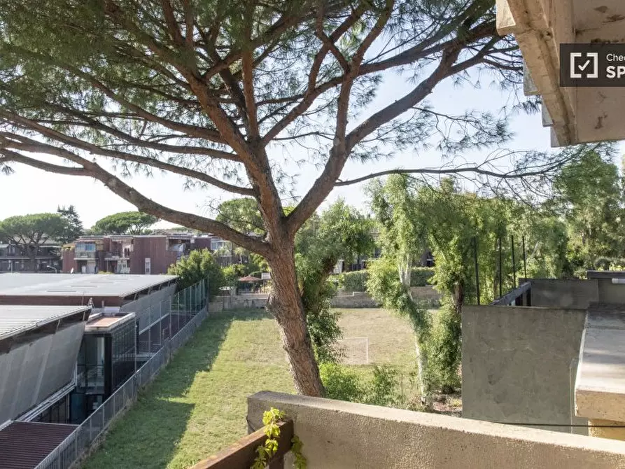 Immagine 16 di Camera condivisa in affitto  in Via di Torre Gaia a Roma