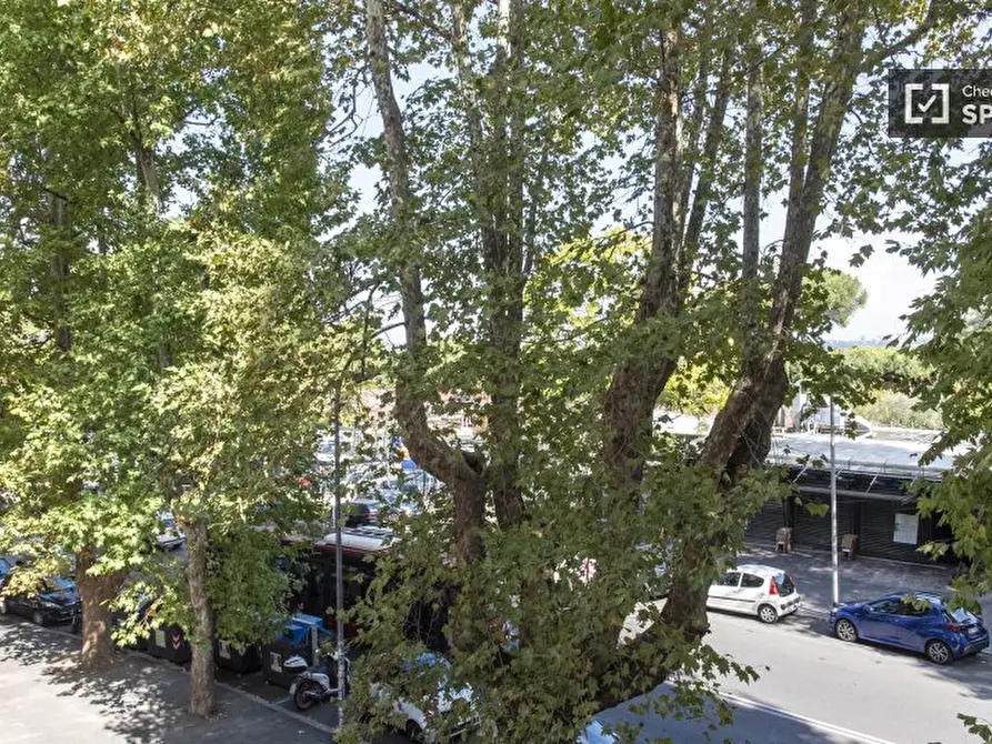 Immagine 19 di Camera condivisa in affitto  in Viale Parioli a Roma