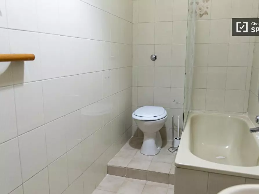 Immagine 14 di Camera condivisa in affitto  in Via Aleardo Aleardi a Roma