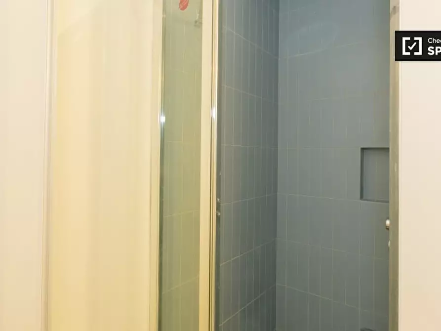 Immagine 19 di Appartamento in affitto  in Viale Tunisia a Milano