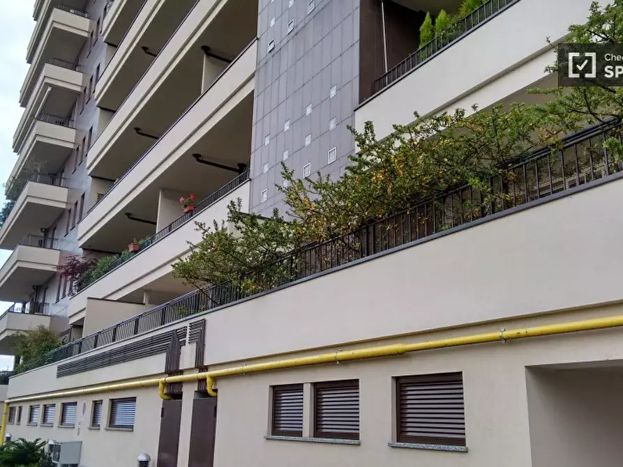 Immagine 15 di Camera condivisa in affitto  in Via Adamello a Milano