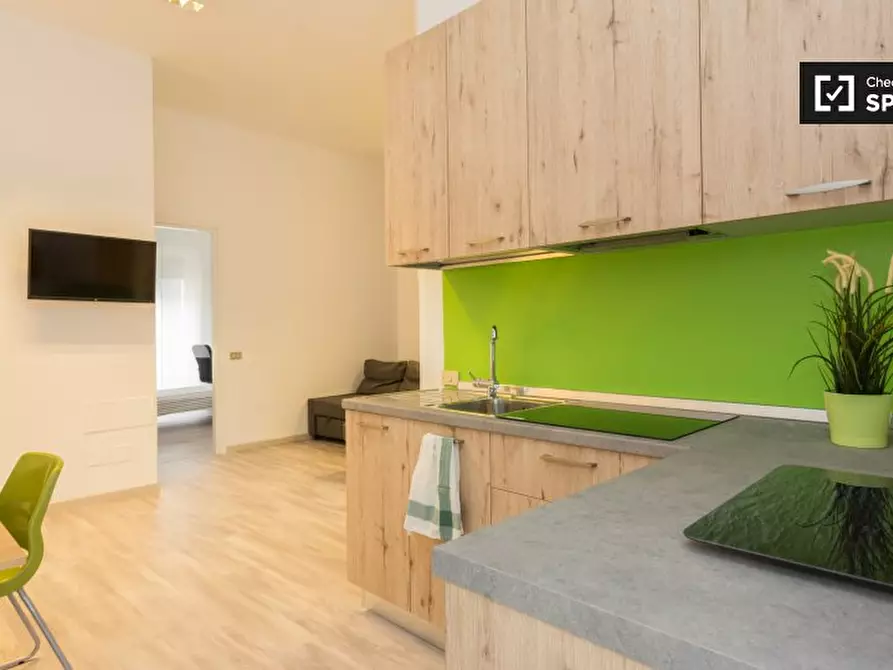 Immagine 12 di Camera condivisa in affitto  in Via Vincenzo Monti a Milano