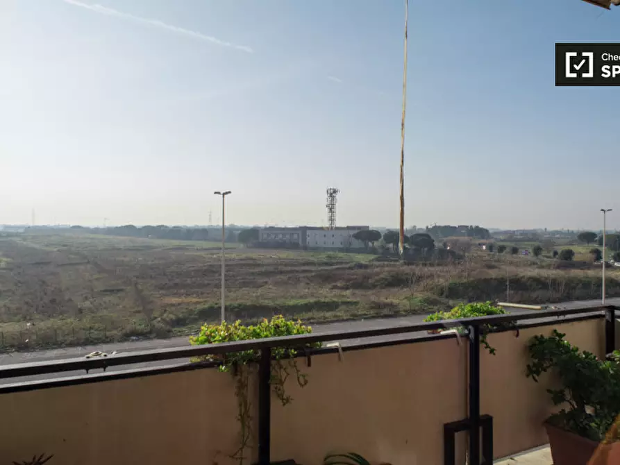 Immagine 5 di Camera condivisa in affitto  in Viale Bruno Rizzieri a Roma