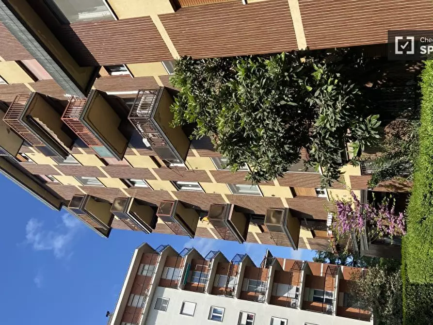 Immagine 18 di Camera condivisa in affitto  in Via Zurigo a Milano