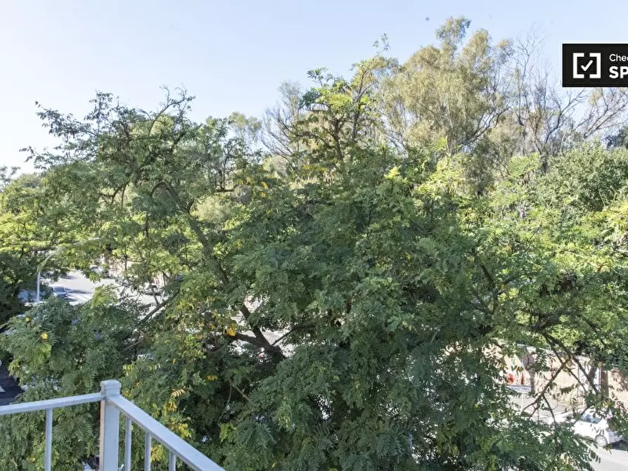 Immagine 6 di Camera condivisa in affitto  in Via Portuense a Roma