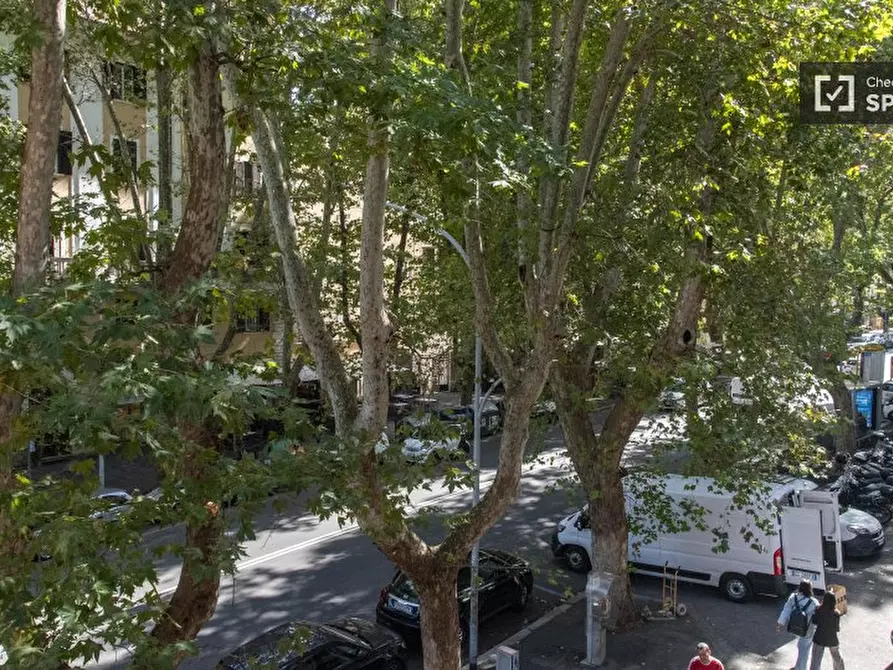 Immagine 18 di Camera condivisa in affitto  in Viale Parioli a Roma